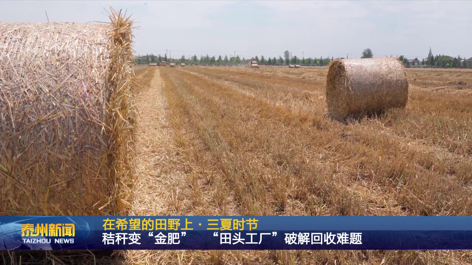 在希望的田野上·三夏时节  秸秆变“金肥”  “田头工厂”破解回收难题
